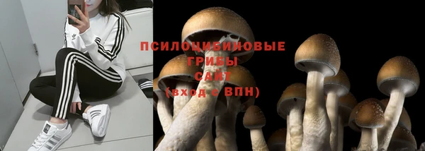 соль ск Армянск
