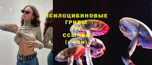 гашиш Аркадак